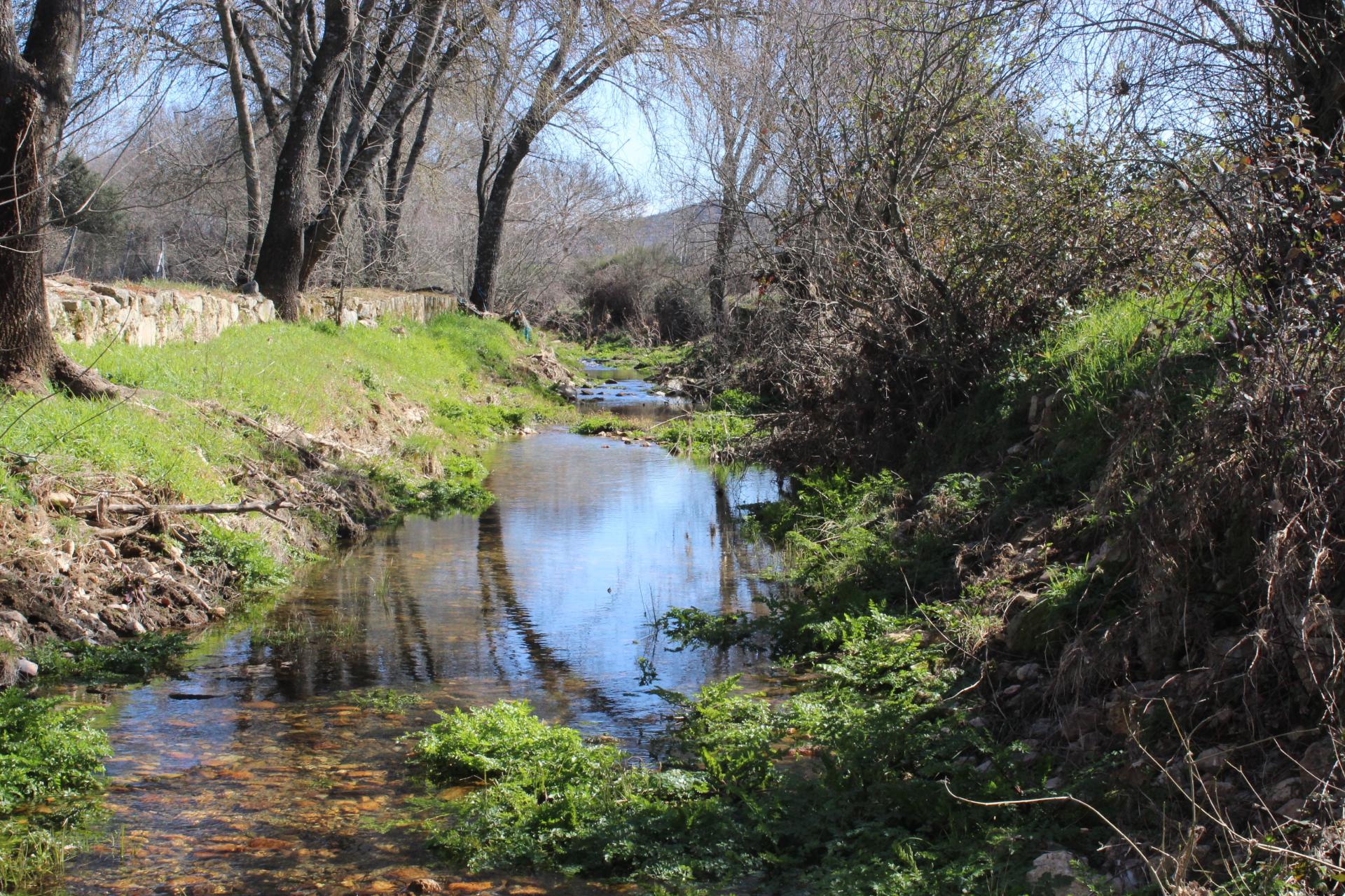 Quinta para Venda em Aldeia do Bispo, Penamacor