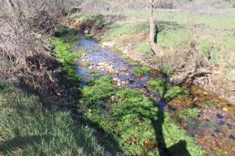 Quinta para Venda em Aldeia do Bispo, Penamacor