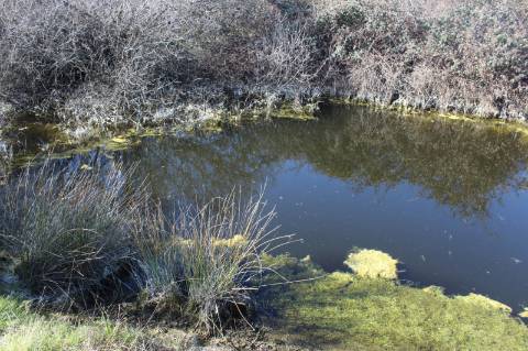 Quinta para Venda em Aldeia do Bispo, Penamacor