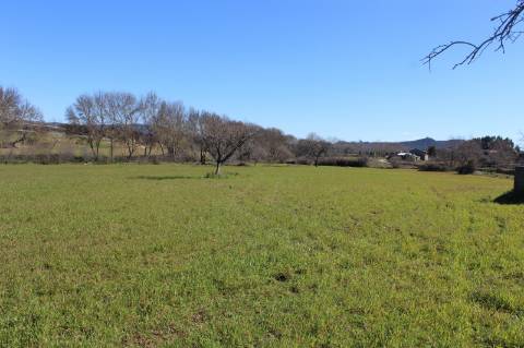 Quinta para Venda em Aldeia do Bispo, Penamacor