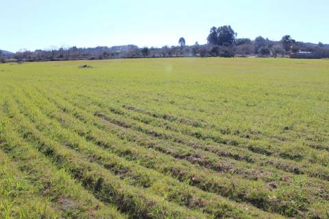 Quinta para Venda em Aldeia do Bispo, Penamacor