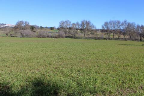 Quinta para Venda em Aldeia do Bispo, Penamacor