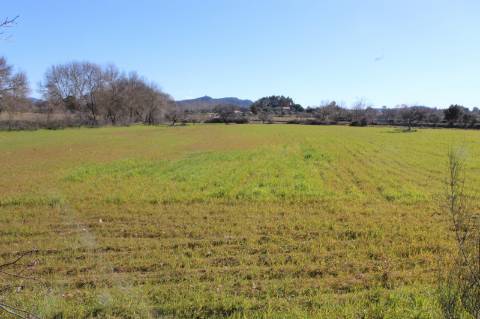 Quinta para Venda em Aldeia do Bispo, Penamacor