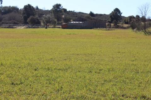 Quinta para Venda em Aldeia do Bispo, Penamacor