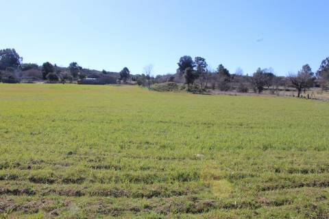 Quinta para Venda em Aldeia do Bispo, Penamacor