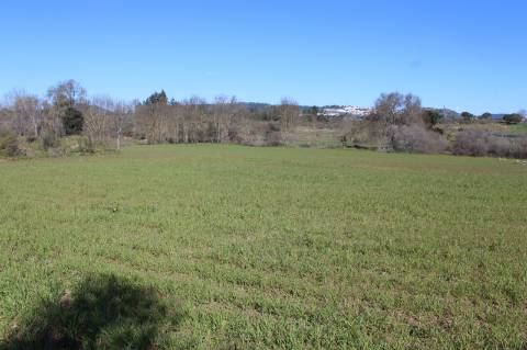 Quinta para Venda em Aldeia do Bispo, Penamacor