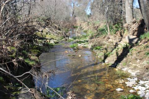 Quinta para Venda em Aldeia do Bispo, Penamacor