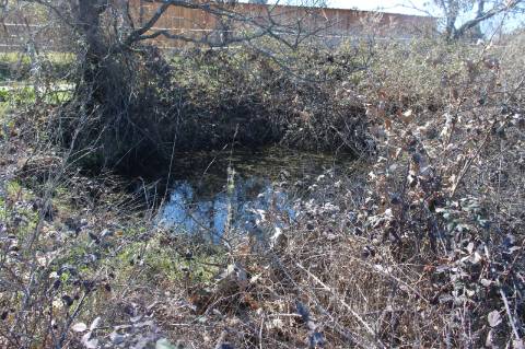 Quinta para Venda em Aldeia do Bispo, Penamacor