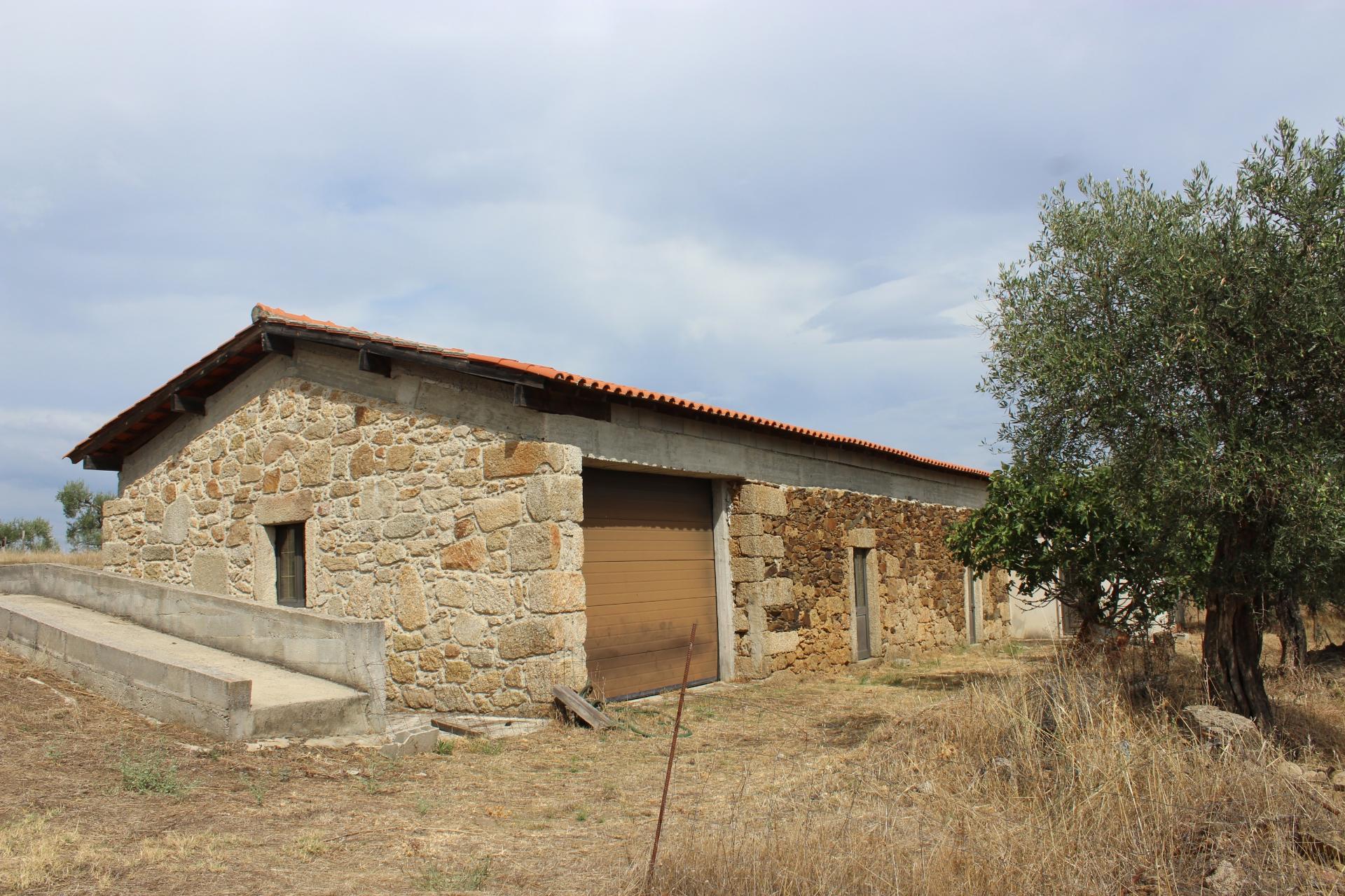 Quinta com 5000m2 para Venda na Mata.