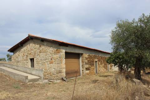 Quinta com 5000m2 para Venda na Mata.