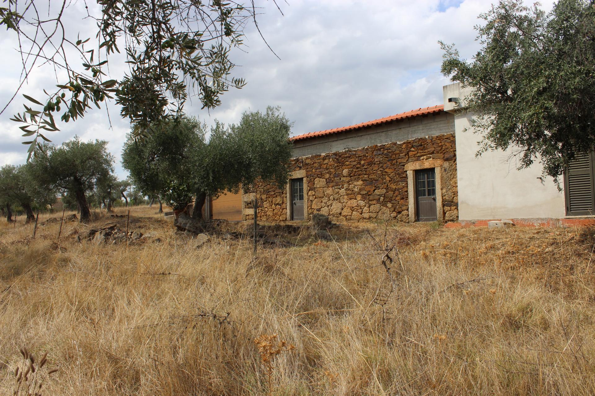 Quinta com 5000m2 para Venda na Mata.