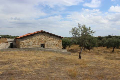 Quinta com 5000m2 para Venda na Mata.