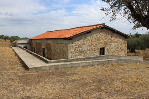 Quinta com 5000m2 para Venda na Mata.