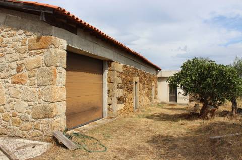 Quinta com 5000m2 para Venda na Mata.