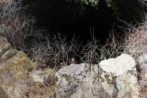 Quinta com 5000m2 para Venda na Mata.