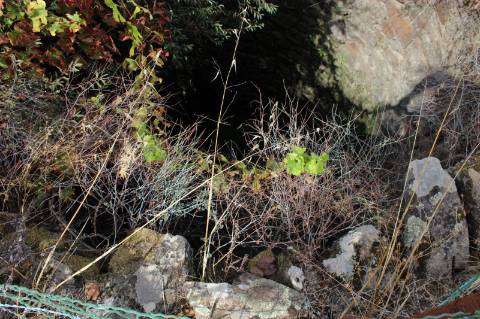 Quinta com 5000m2 para Venda na Mata.