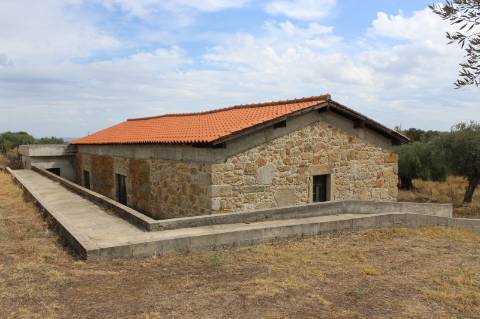 Quinta com 5000m2 para Venda na Mata.