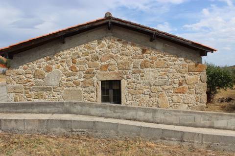 Quinta com 5000m2 para Venda na Mata.