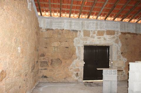 Quinta com 5000m2 para Venda na Mata.