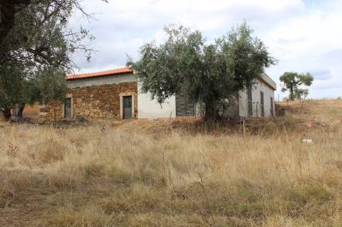 Quinta com 5000m2 para Venda na Mata.