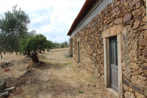 Quinta com 5000m2 para Venda na Mata.