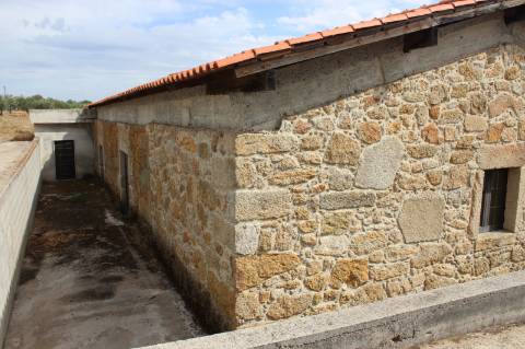 Quinta com 5000m2 para Venda na Mata.