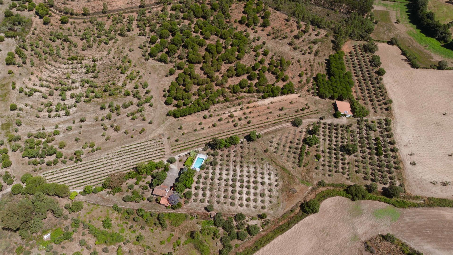 Herdade com 34 Hectares