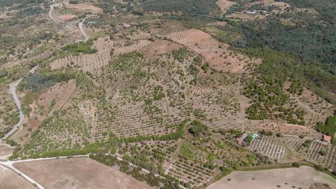 Herdade com 34 Hectares