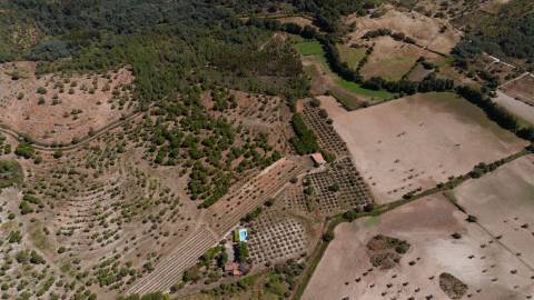 Herdade com 34 Hectares