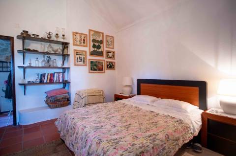 Herdade com 34 Hectares