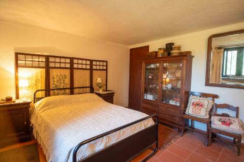 Herdade com 34 Hectares