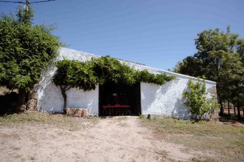 Herdade com 34 Hectares