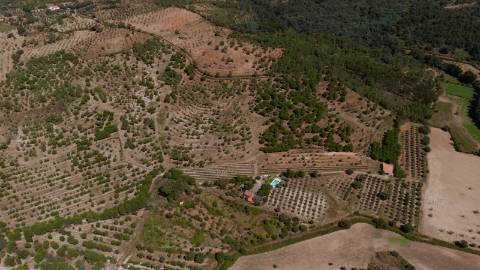 Herdade com 34 Hectares