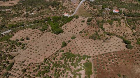 Herdade com 34 Hectares