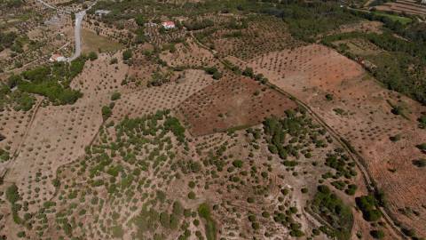 Herdade com 34 Hectares
