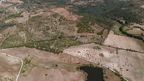 Herdade com 34 Hectares