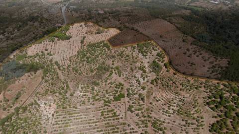 Herdade com 34 Hectares