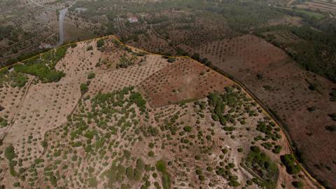 Herdade com 34 Hectares