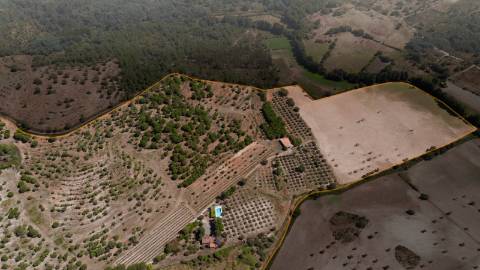 Herdade com 34 Hectares