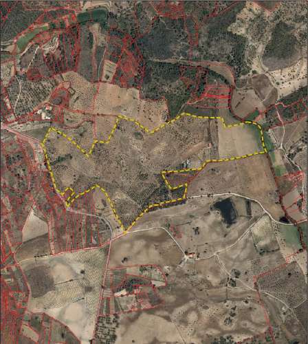 Herdade com 34 Hectares