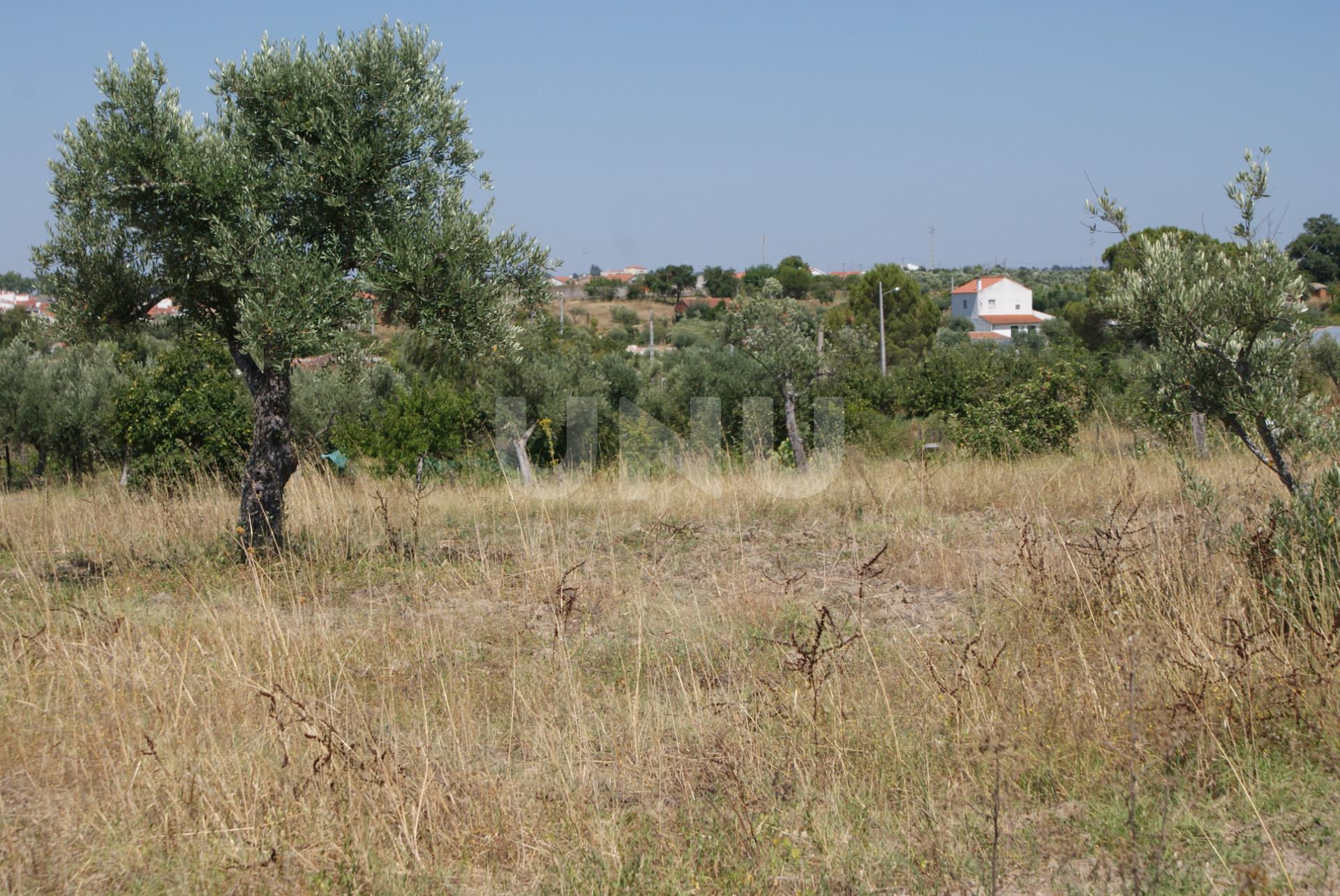 Quintinha para Venda no Ladoeiro