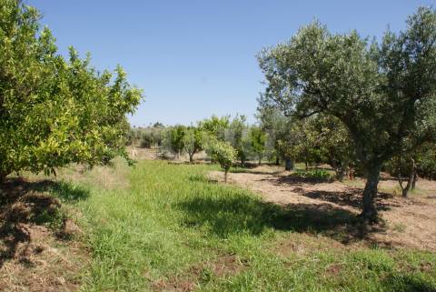 Quintinha para Venda no Ladoeiro