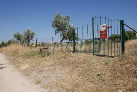 Quintinha para Venda no Ladoeiro