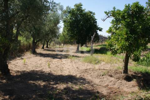 Quintinha para Venda no Ladoeiro