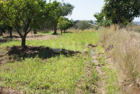 Quintinha para Venda no Ladoeiro