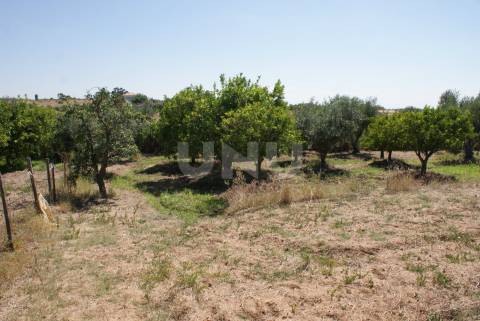 Quintinha para Venda no Ladoeiro