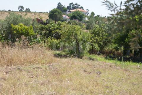 Quintinha para Venda no Ladoeiro