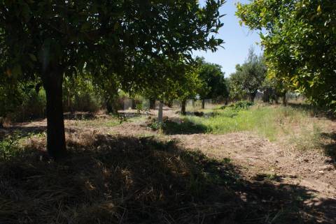 Quintinha para Venda no Ladoeiro