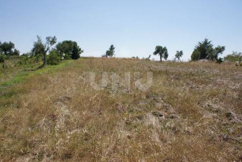 Quintinha para Venda no Ladoeiro