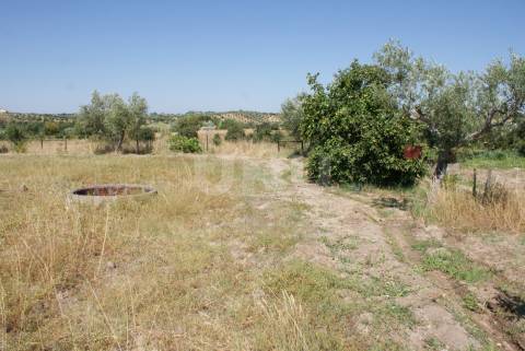 Quintinha para Venda no Ladoeiro
